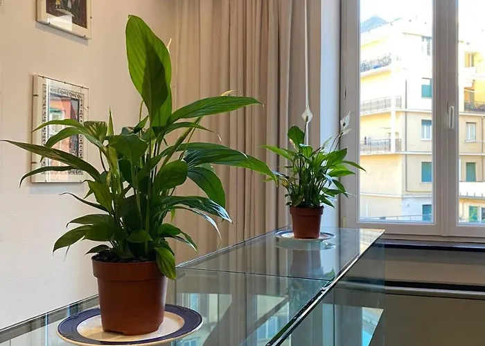 Martel - Centro Brignole 3*